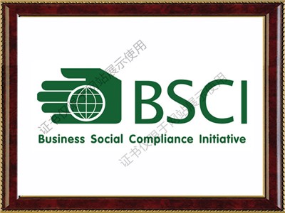 business social compliance initiative